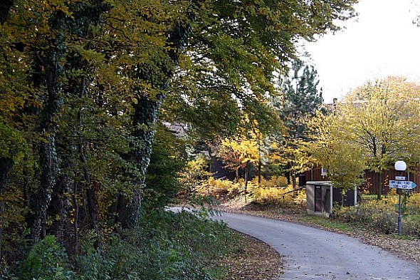 Umgebung